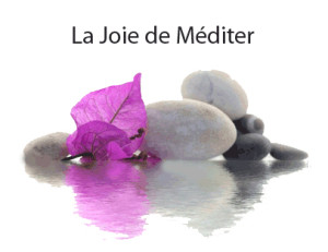 La Joie de Méditer