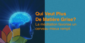 Qui veut plus de matière grise? Méditation et Cerveau