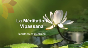 La Méditation Vipassana