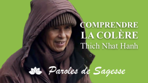 Comprendre la Colère avec Thich Nhat Hanh