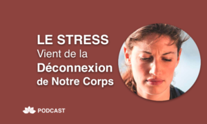 Le Stress Vient de la Déconnexion de Notre Corps