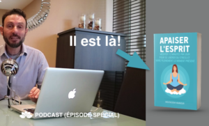 Apaiser l'Esprit - Présentation du livre