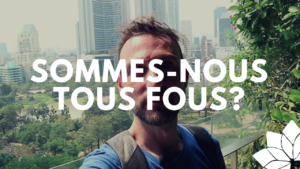 Sommes-Nous Tous Fous?