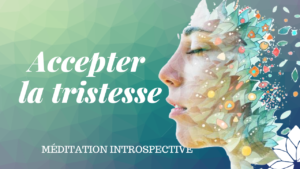 Accepter la Tristesse [MI]