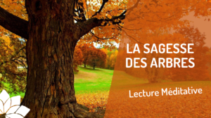 La Sagesse des Arbres - Lecture Méditative